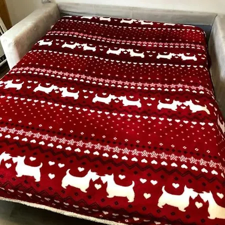 Casa Amy Tatil Evi Artesina